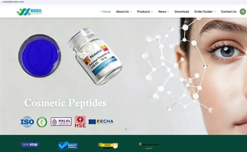 Noua versiune a paginii de pornire a companiei este înființată