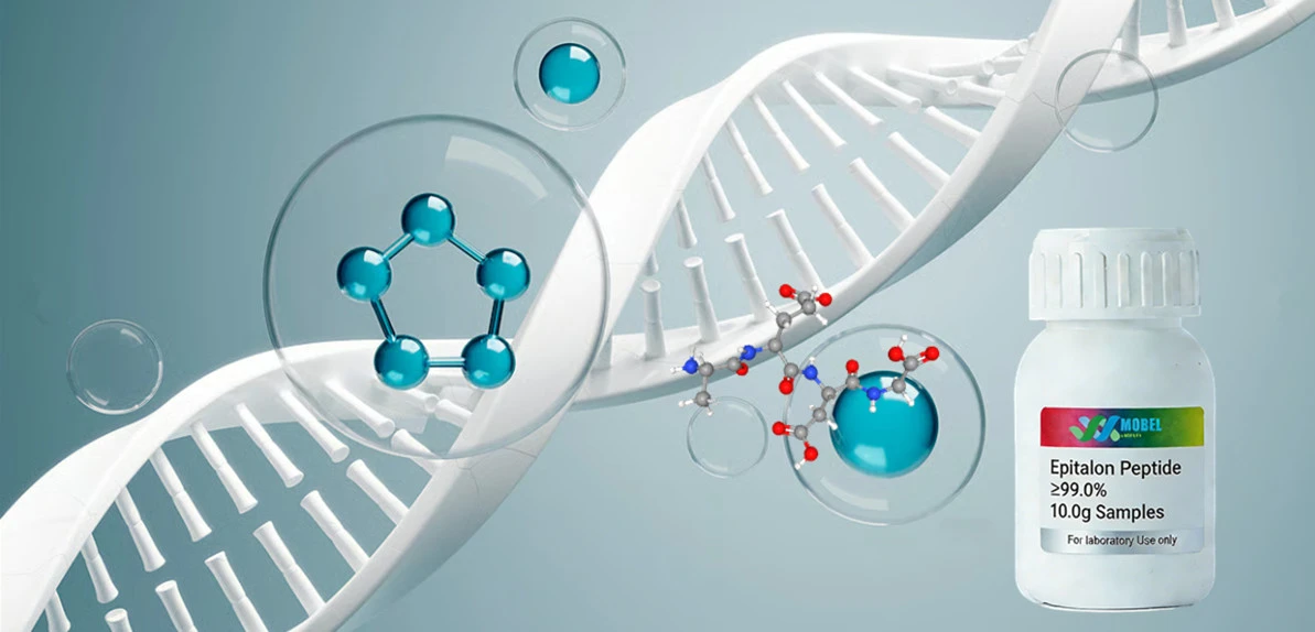 Epitalon Peptide manufacturer Epitalon Peptide manufacturer
